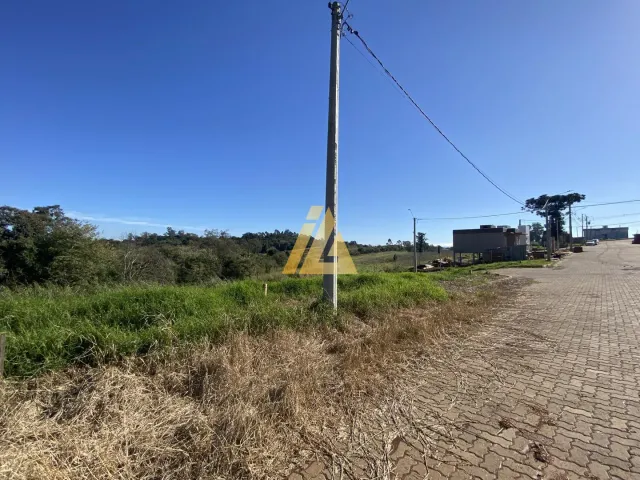 Terreno, foto 3
