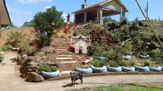 Área rural com 4 dormitórios, foto 9