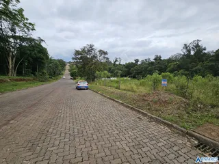 Terreno, foto 3