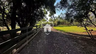 Área rural com 3 dormitórios, foto 11