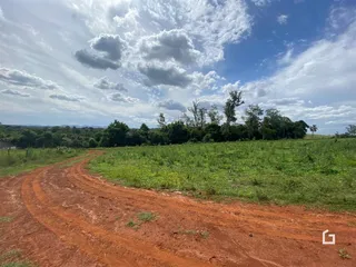 Uma estrada de terra atravessa um campo verde com vegetação densa ao fundo.