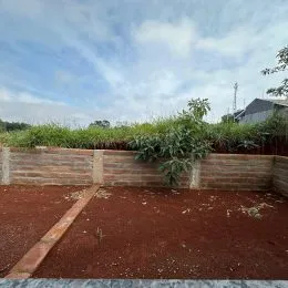 Foto de uma área externa com solo avermelhado e vegetação rasteira.