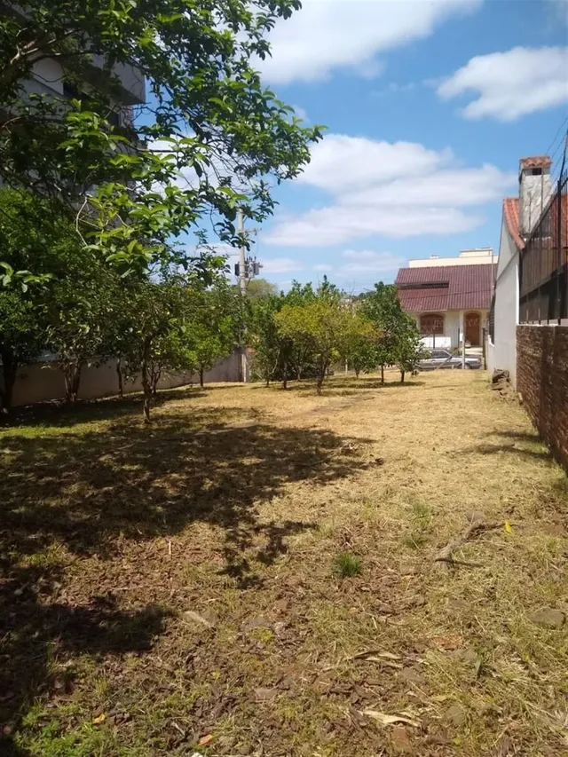 Terreno, foto 2