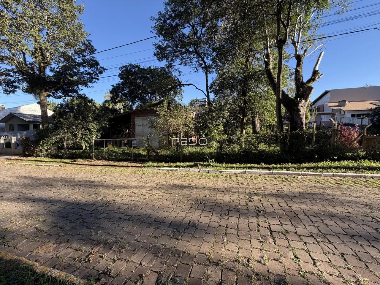 Terreno, foto 1