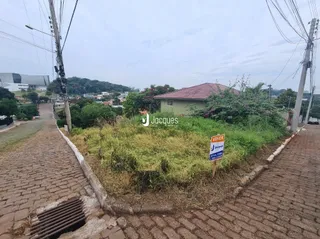 Vista da rua com vegetação ao lado da calçada em Lajeado.