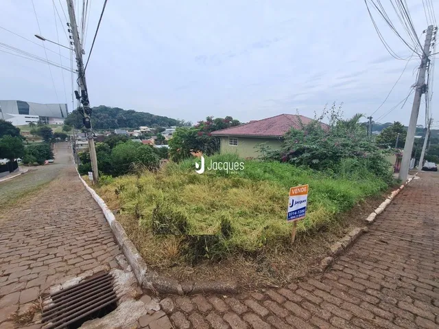 Vista da rua com vegetação ao lado da calçada em Lajeado.