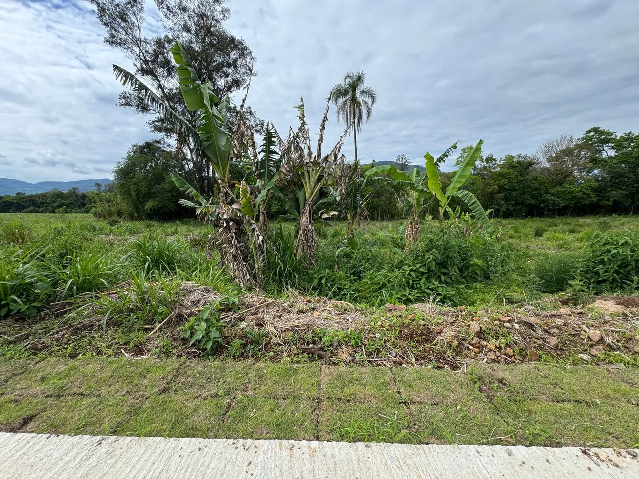 Terreno, foto 1
