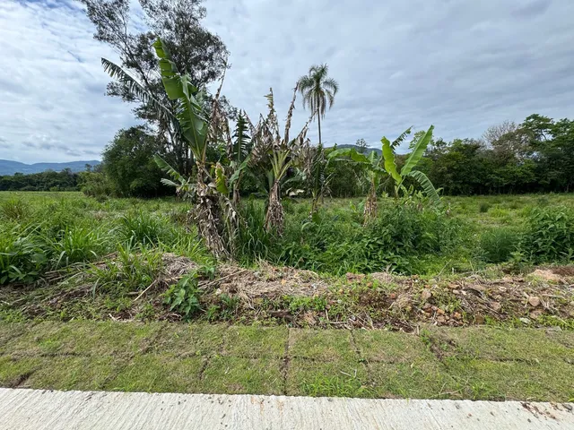 Terreno