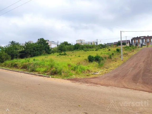 Terreno, foto 2