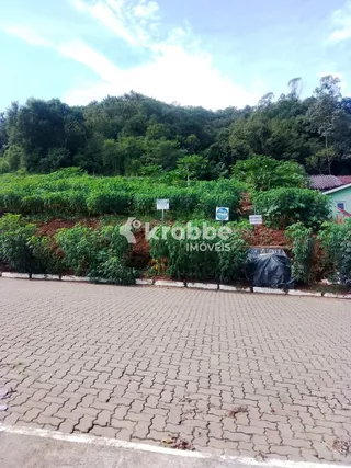 Terreno, foto 1