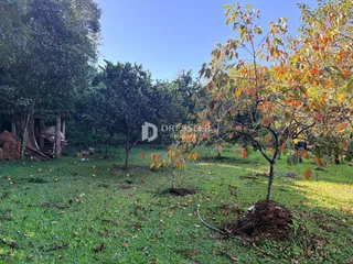 Área rural com 3 dormitórios, foto 9