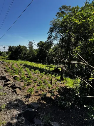 Área rural, foto 2