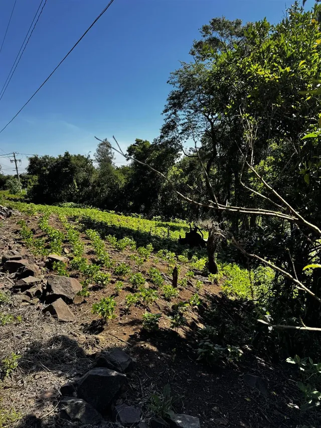 Área rural, foto 2