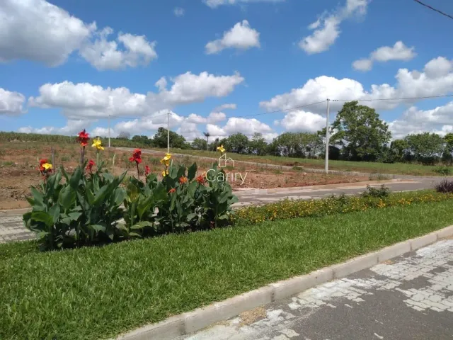 Terreno, foto 5