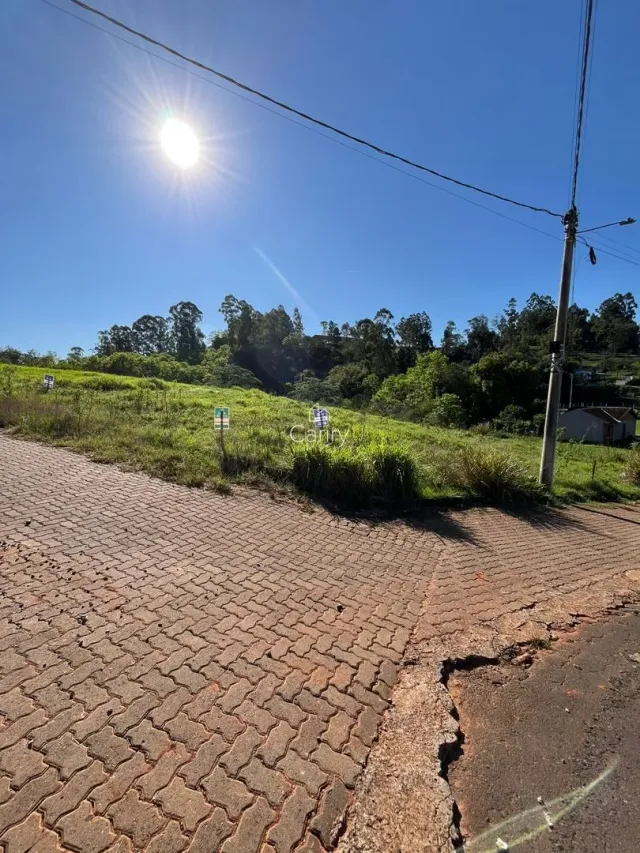 Terreno, foto 2