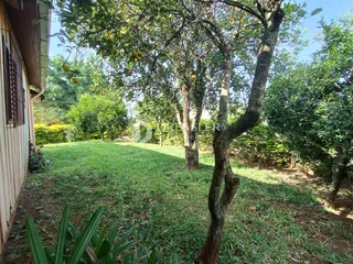 Terreno, foto 3