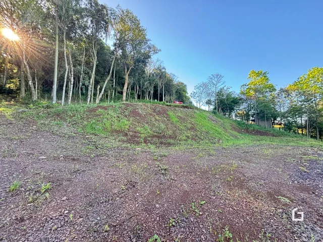 Terreno, foto 3