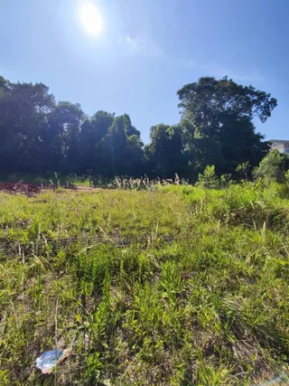 Terreno, foto 2
