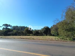Vista da paisagem com árvores e uma estrada no primeiro plano.