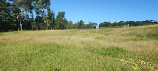 Campo aberto com grama alta sob um céu azul.