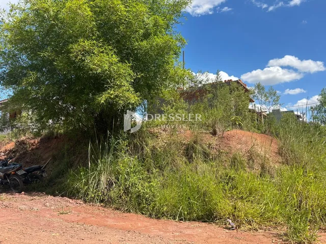 A foto mostra a vegetação densa e o terreno ao redor de uma residência em Lajeado.
