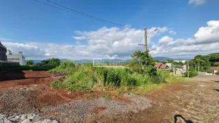 Terreno, foto 2