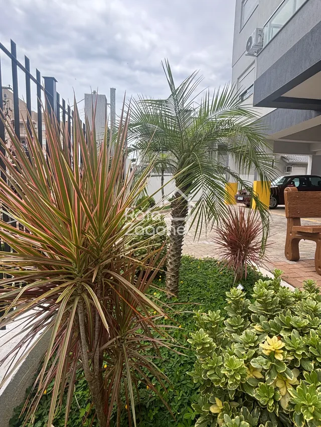 Apartamento com 2 dormitórios, foto 3