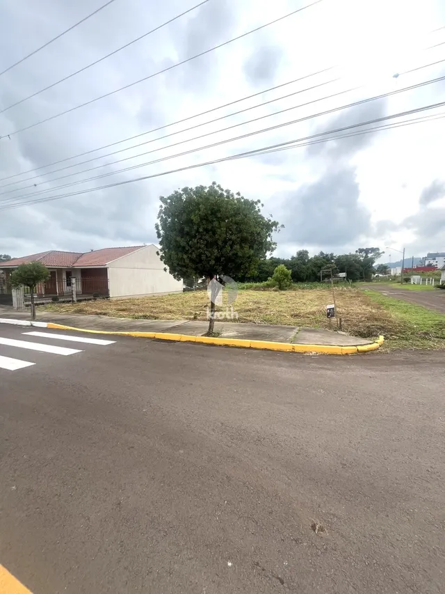 Terreno