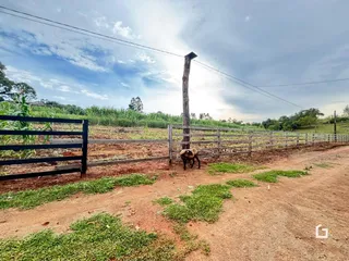Área rural com 2 dormitórios, foto 18