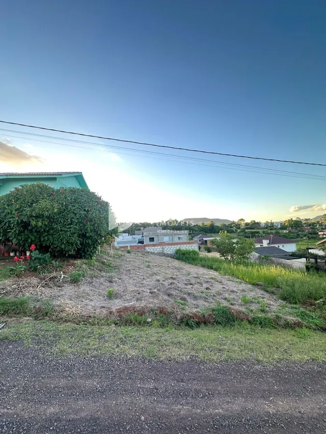 Vista da propriedade com terreno inclinado e vegetação ao fundo.