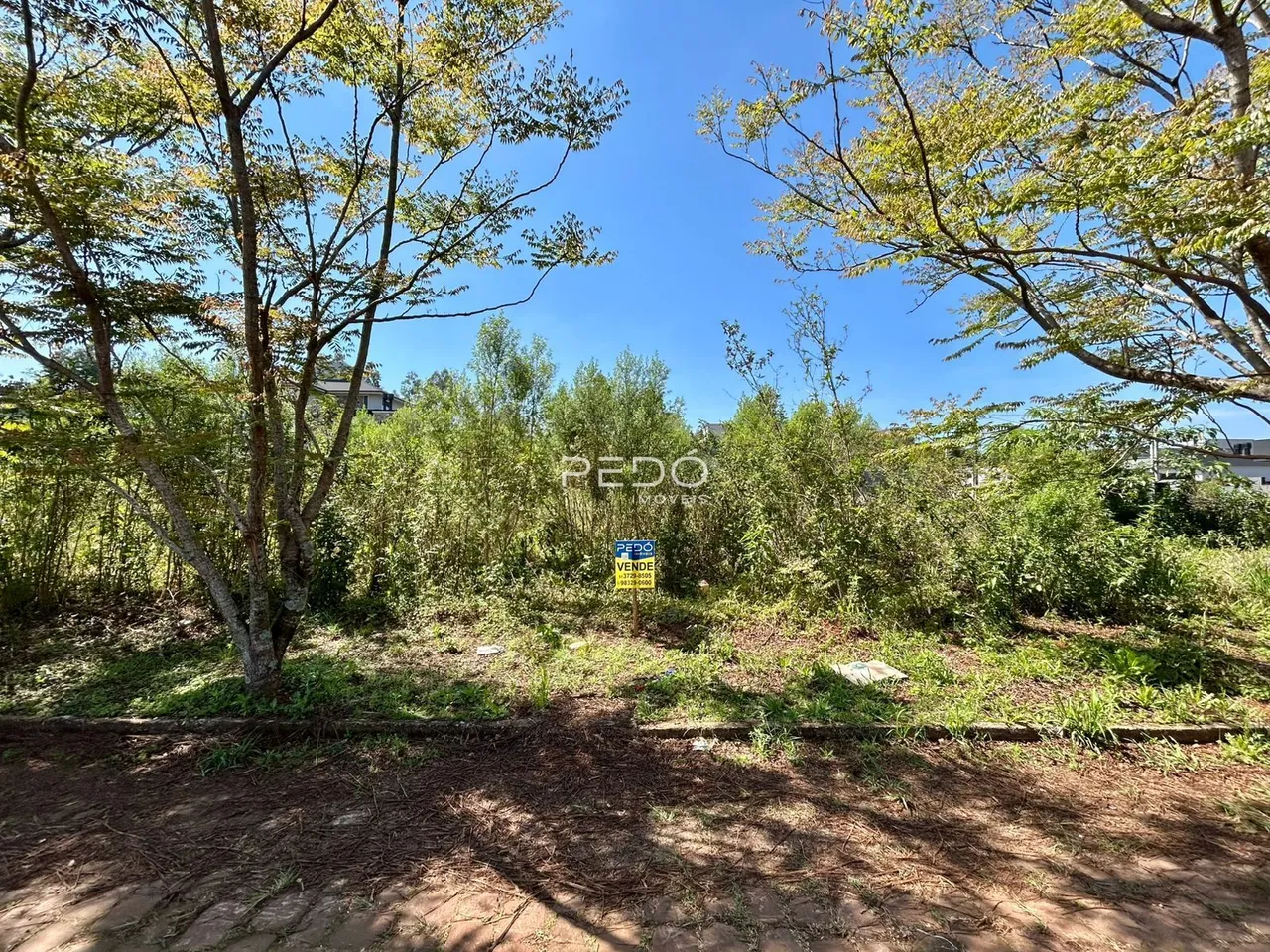 Vista externa de uma propriedade com vegetação densa e árvores.