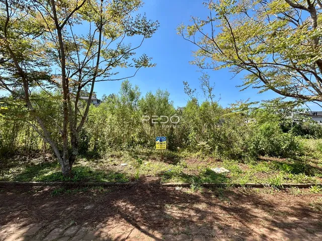 Vista externa de uma propriedade com vegetação densa e árvores.