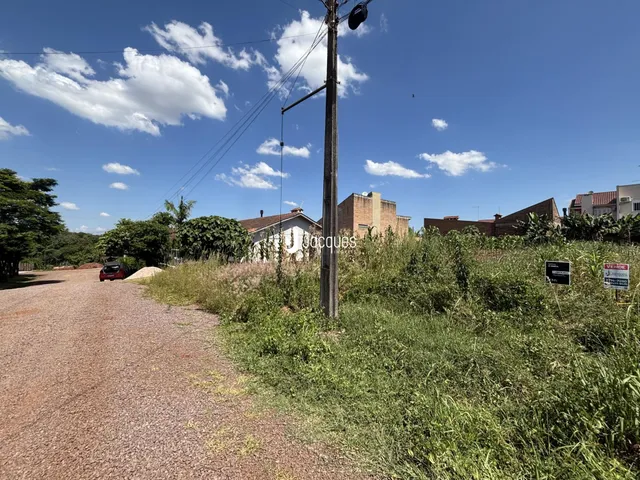 Vista externa de uma propriedade com vegetação densa ao longo de uma estrada.