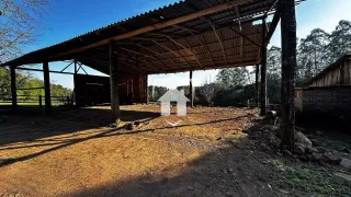 Área rural com 3 dormitórios, foto 9