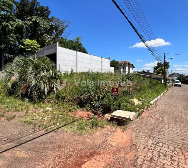 Terreno, foto 2