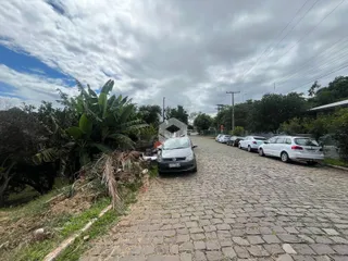 Vista da rua com carros estacionados e vegetação ao lado.