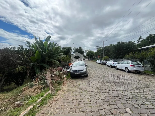 Vista da rua com carros estacionados e vegetação ao lado.