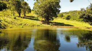 Imóvel, foto 4