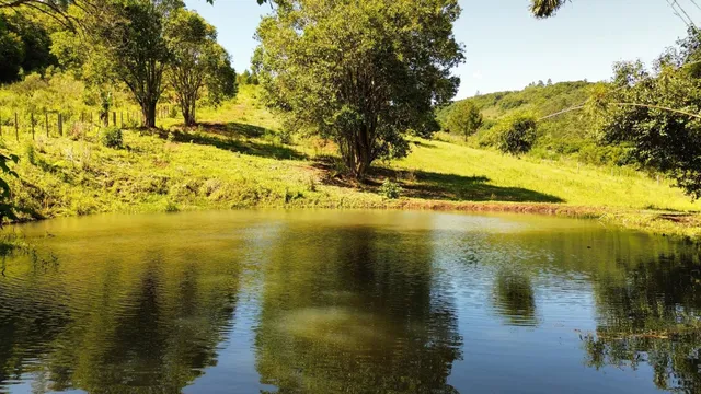 Imóvel, foto 4