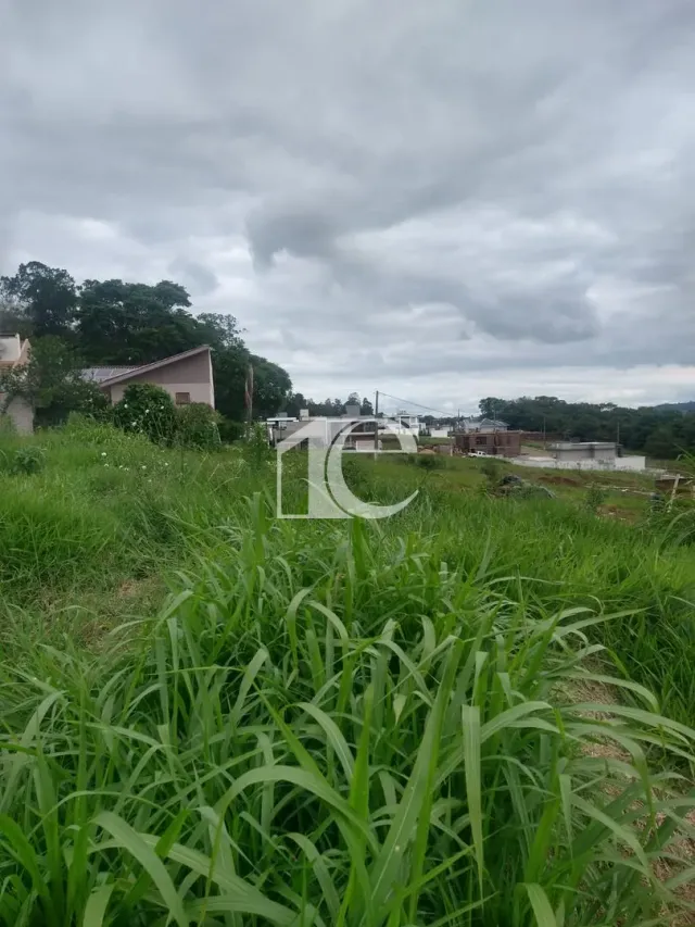 Terreno, foto 3