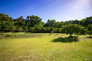 Área rural com 4 dormitórios, foto 44