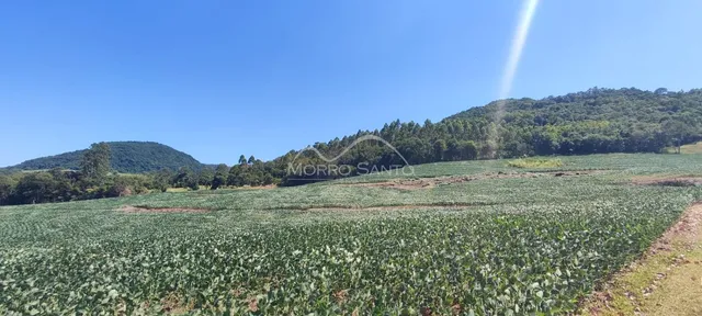 Área rural, foto 3
