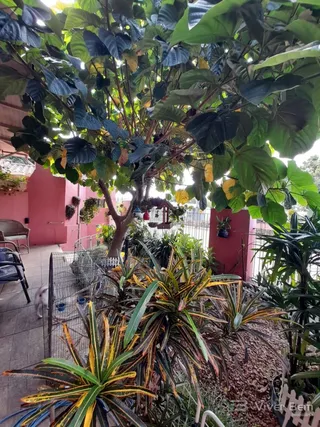 Casa com 4 dormitórios, foto 15