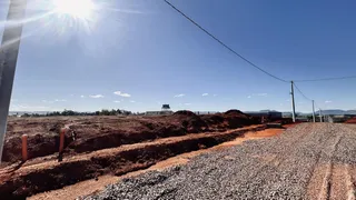 Terreno, foto 12
