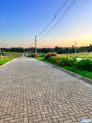 Terreno, foto 3