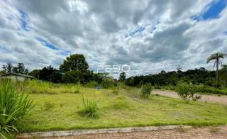 Vista externa de um terreno gramado com vegetação e estrada de terra.
