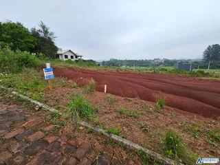 Terreno, foto 1