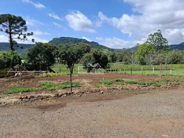 Terreno, foto 3