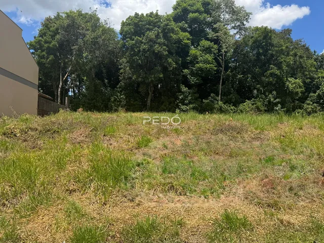 Campo de grama seco com vegetação densa ao fundo.