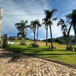 Paisagem externa com gramado e palmeiras em Lajeado.